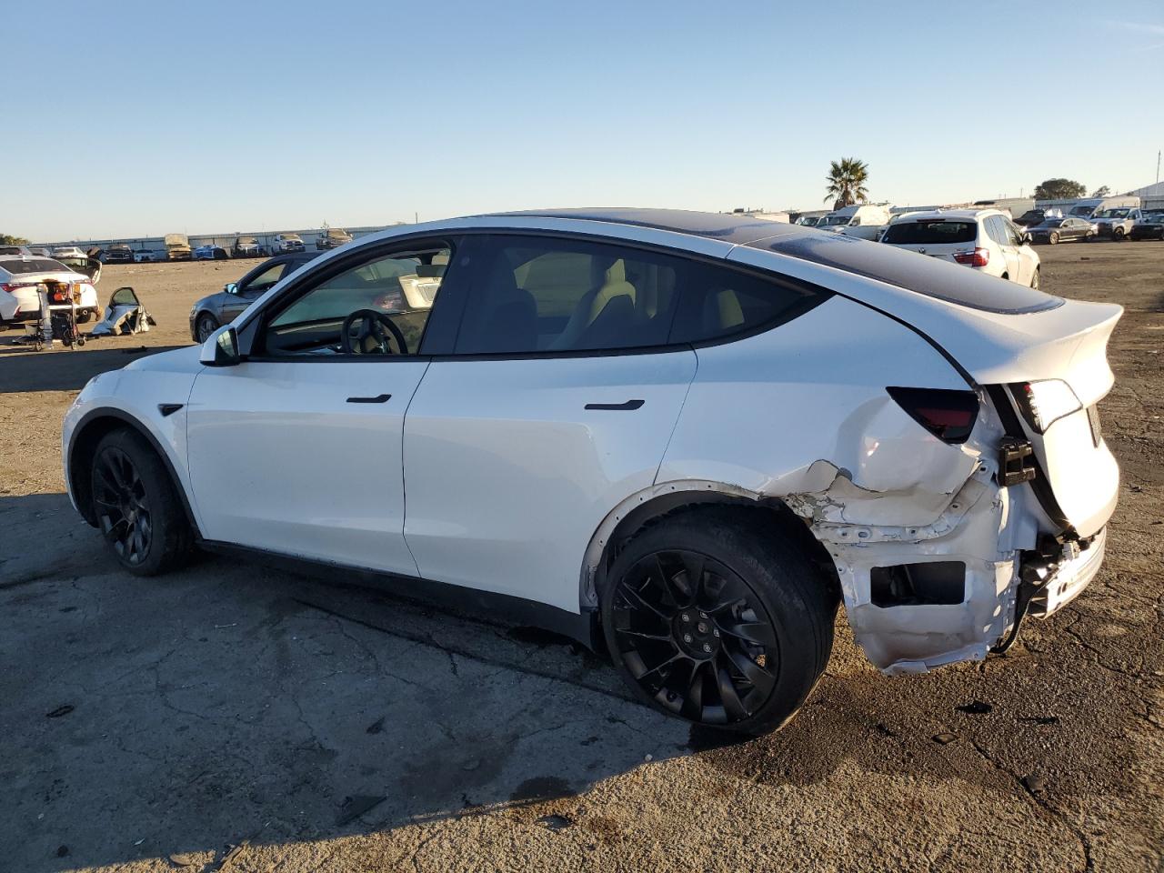 VIN 7SAYGDEE1NF488459 2022 TESLA MODEL Y no.2