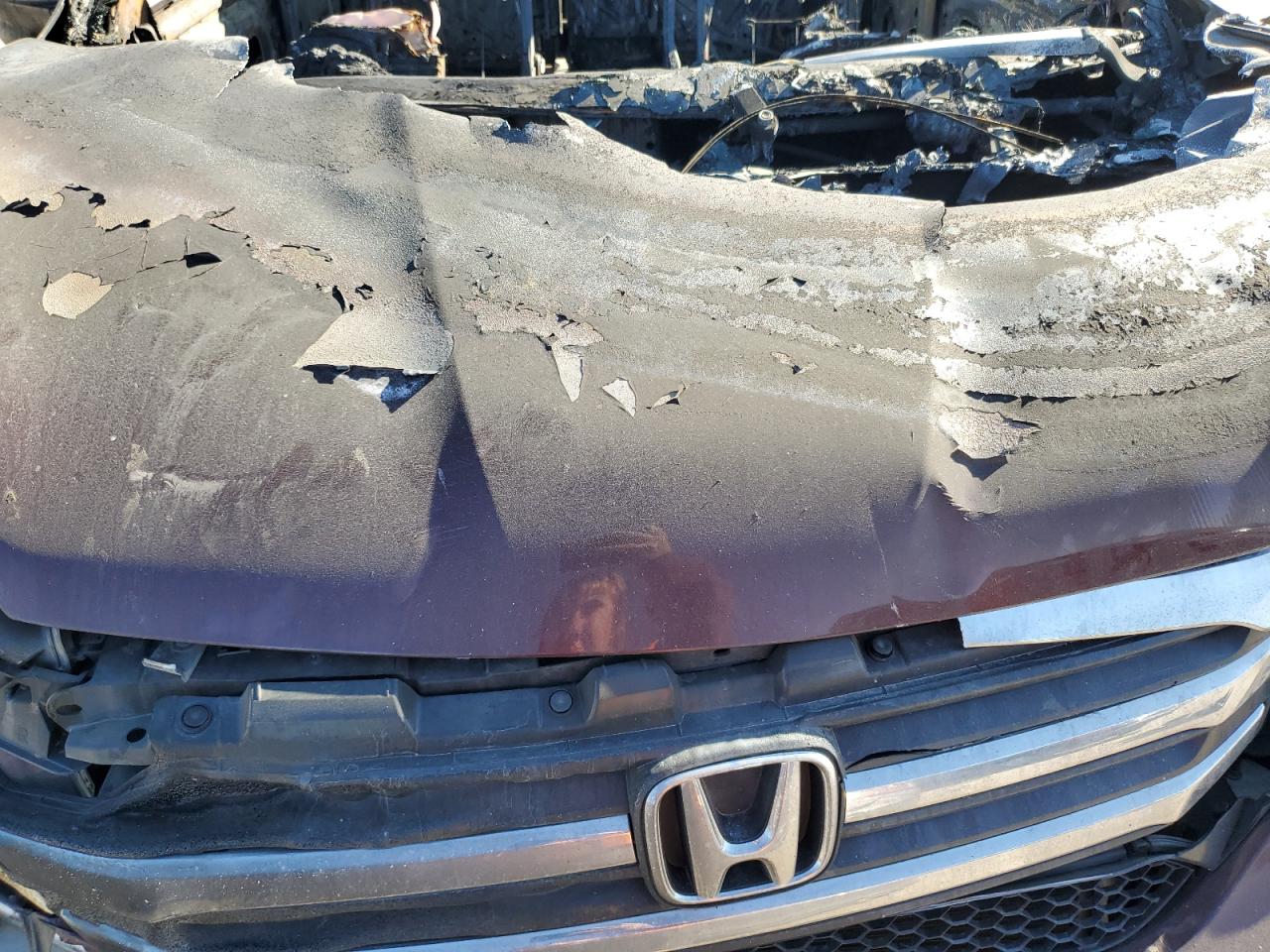 2017 Honda Pilot Exl VIN: 5FNYF5H52HB034047 Lot: 87401774