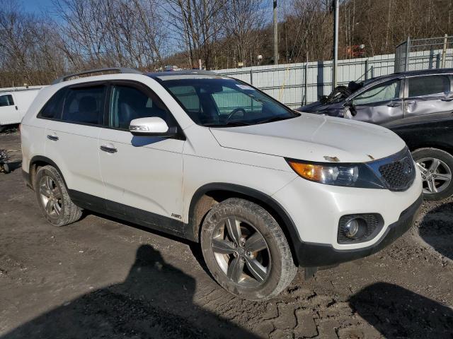  KIA SORENTO 2013 Белы