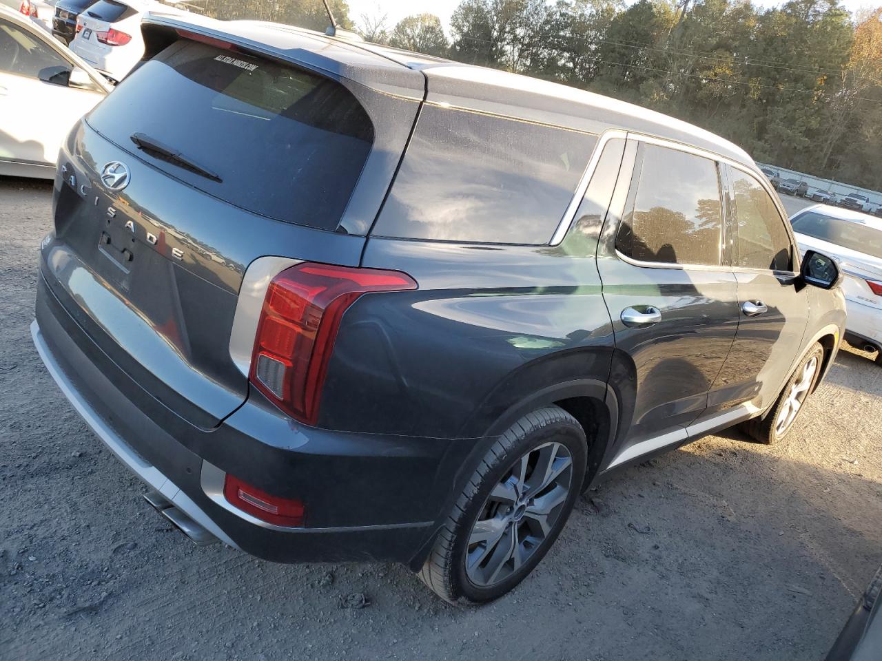 VIN KM8R44HE7LU067416 2020 HYUNDAI PALISADE no.3