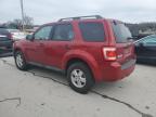 2010 Ford Escape Xlt for Sale in Lebanon, TN - Front End