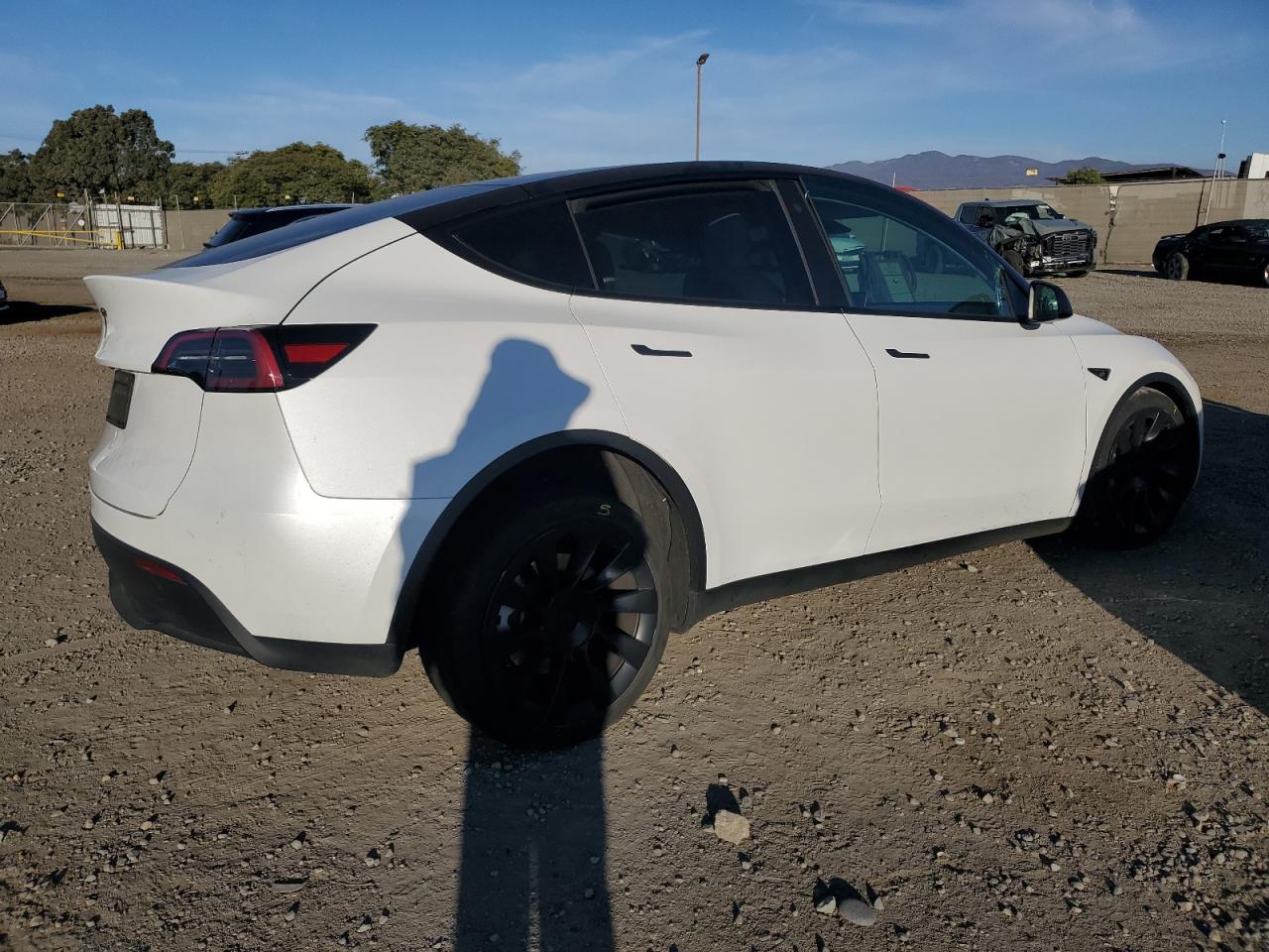 VIN 7SAYGDEE4PF612341 2023 TESLA MODEL Y no.3