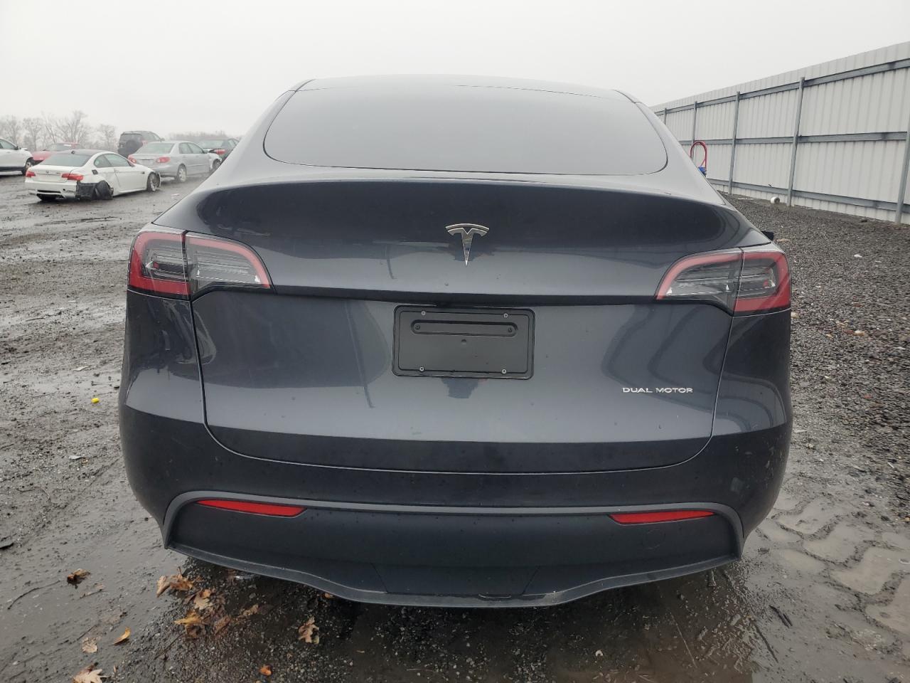 2024 Tesla Model Y VIN: 7SAYGDEEXRF179644 Lot: 85082704