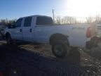 2011 FORD F250 SUPER DUTY for sale at Copart KY - WALTON