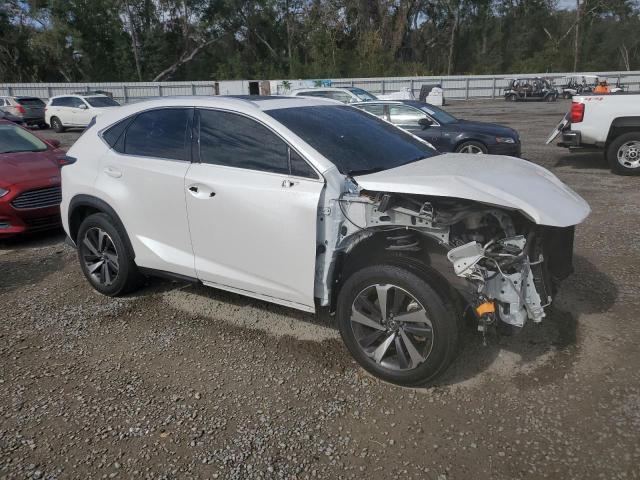  LEXUS NX 2020 Biały