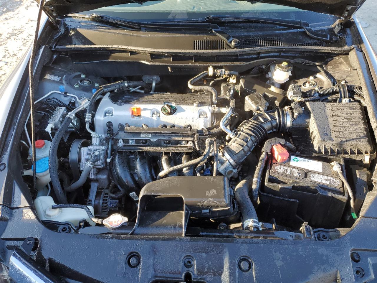 2010 Honda Accord Lx VIN: 1HGCP2F32AA172646 Lot: 82831164