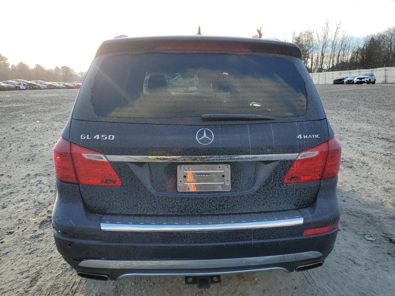 VIN 4JGDF7CE3EA424740 2014 MERCEDES-BENZ GL-CLASS no.6