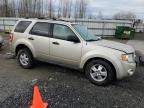 2011 Ford Escape Xlt იყიდება Arlington-ში, WA - Front End