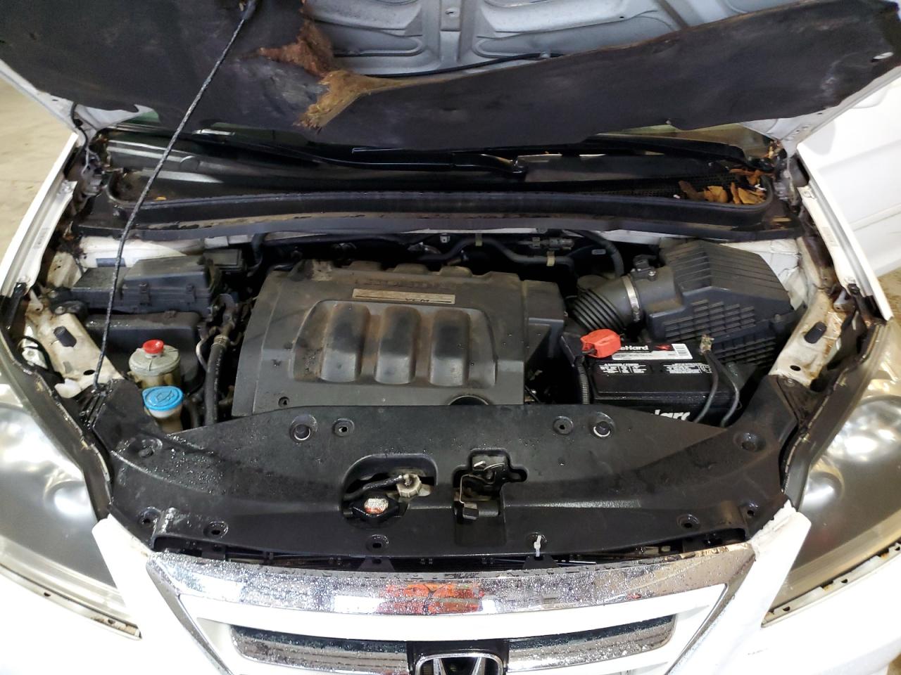 2007 Honda Odyssey Exl VIN: 5FNRL38727B137468 Lot: 84395734