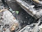 2015 Honda Odyssey Exl за продажба в Cahokia Heights, IL - Burn