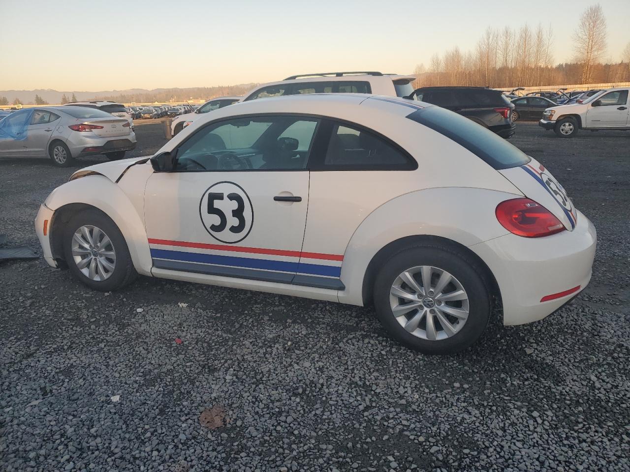 VIN 3VWFP7AT4DM665085 2013 VOLKSWAGEN BEETLE no.2