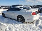 2017 Ford Mustang  للبيع في Wayland، MI - Rear End