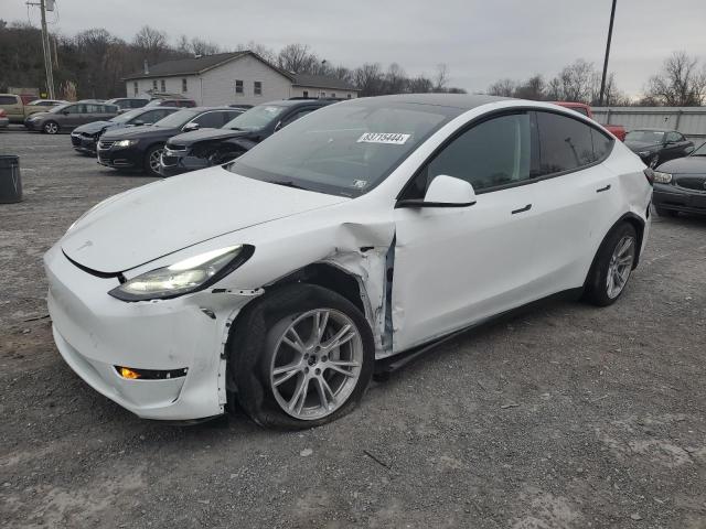 2023 TESLA MODEL Y, VIN: 7SAYGDEE7PF673621