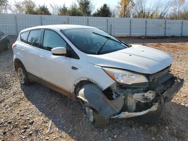  FORD ESCAPE 2014 Білий