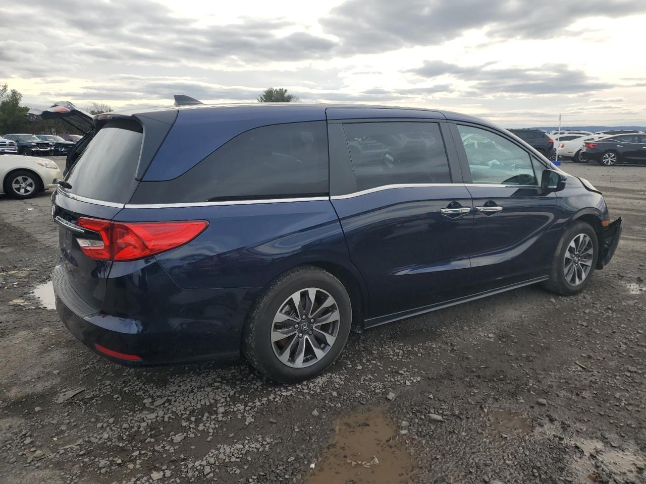 5FNRL6H69PB059019 HONDA All Models 2023