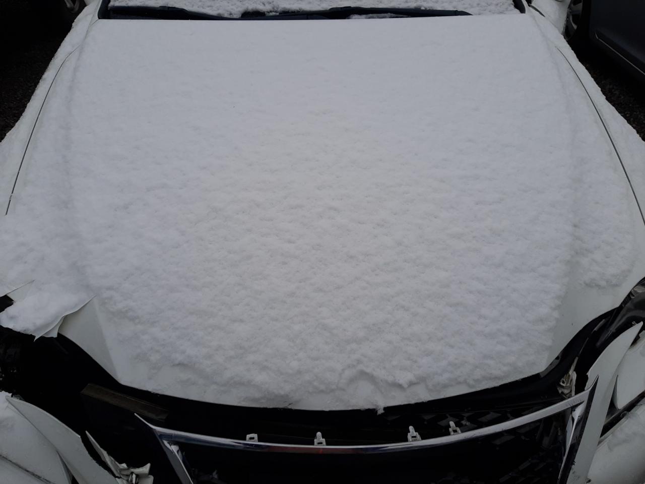 2014 Lexus Is 350 VIN: JTHBE1D25E5009054 Lot: 85576604