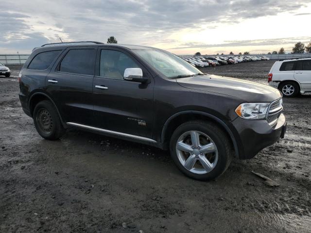 Паркетники DODGE DURANGO 2013 Коричневий