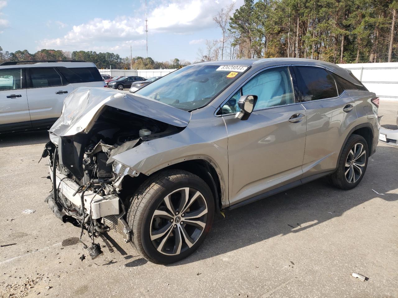 2019 Lexus RX - Image 1