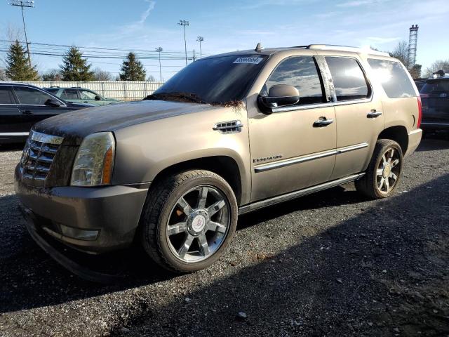 2007 Cadillac Escalade Luxury