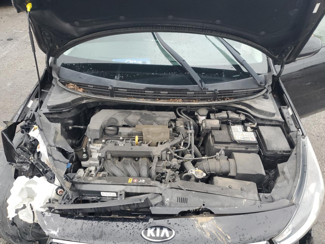2020 Kia Rio - Image 13