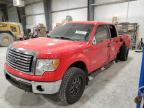 2012 Ford F150 Supercrew იყიდება Greenwood-ში, NE - Rear End