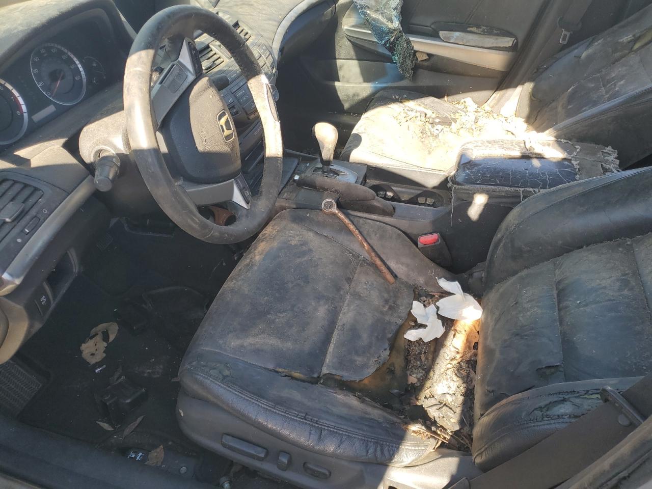 2009 Honda Accord Exl VIN: 1HGCP368X9A026167 Lot: 69304585