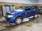 2008 Ford Escape Xls за продажба в Kincheloe, MI - Minor Dent/Scratches