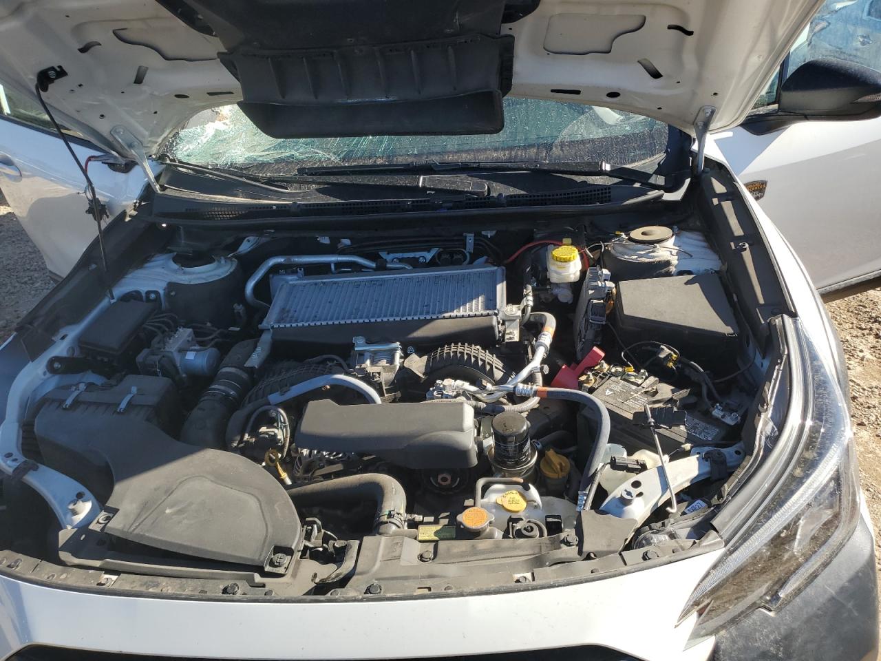 2022 Subaru Outback Wilderness VIN: 4S4BTGSD8N3259054 Lot: 82414314