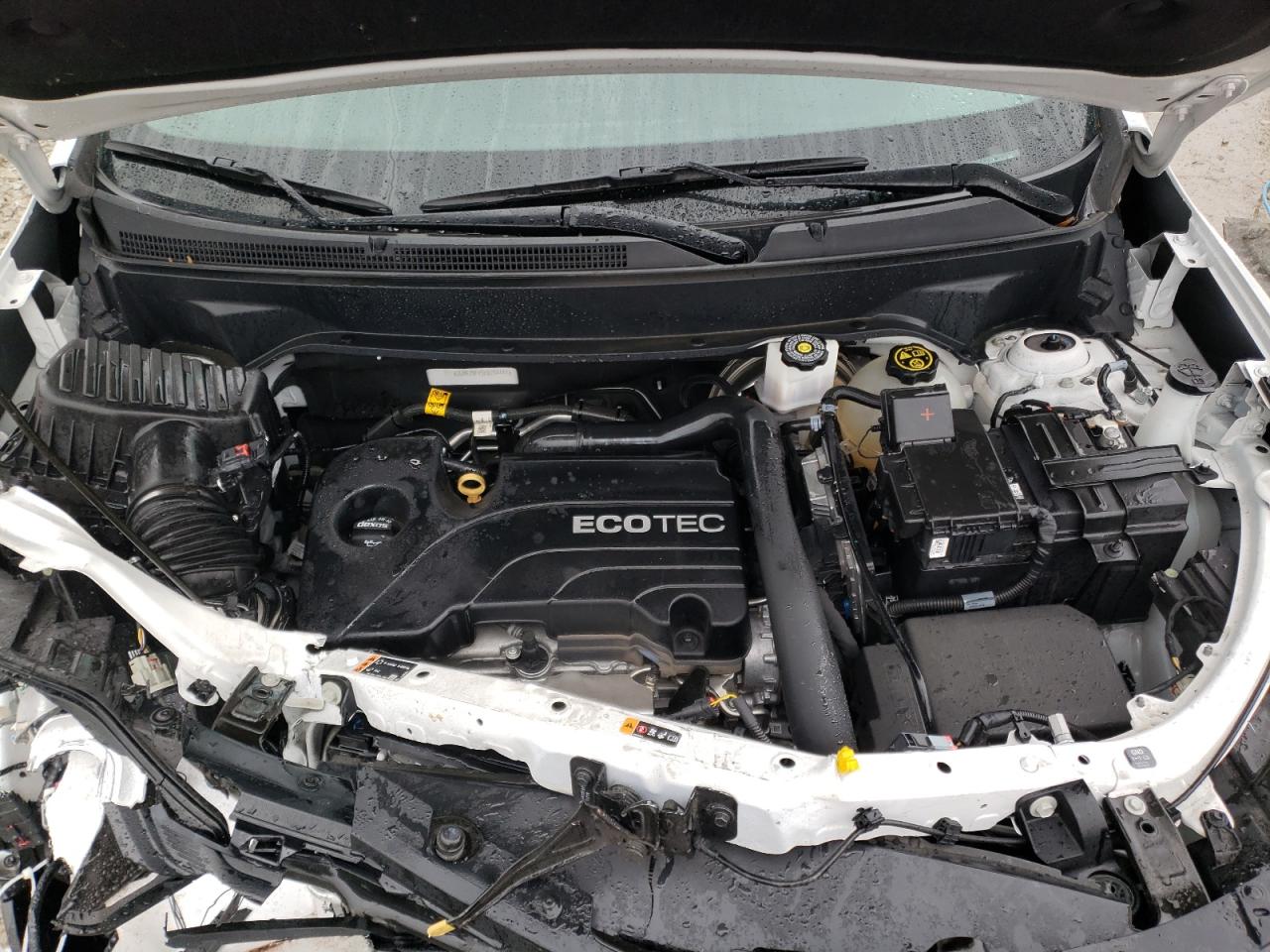 2GNAXNEV3K6204441 CHEVROLET EQUINOX 2019