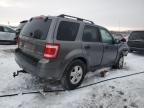 2009 Ford Escape Xlt na sprzedaż w Wayland, MI - Front End