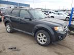 2011 Ford Escape Xlt for Sale in Woodhaven, MI - Front End