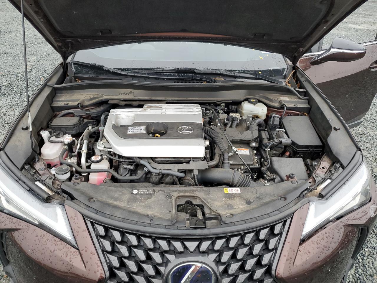 2020 Lexus UX - Image 14