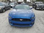 2017 Ford Mustang  na sprzedaż w Opa Locka, FL - Minor Dent/Scratches