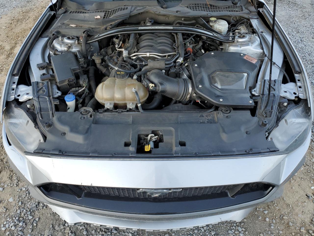 2021 Ford Mustang Gt VIN: NCS107316 Lot: 81978844