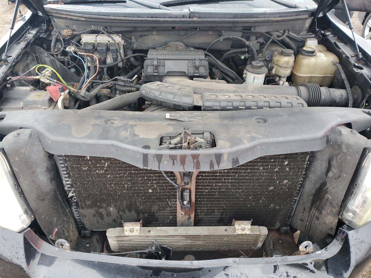 2005 Ford F150 VIN: 1FTPX14535NB73933 Lot: 86002974