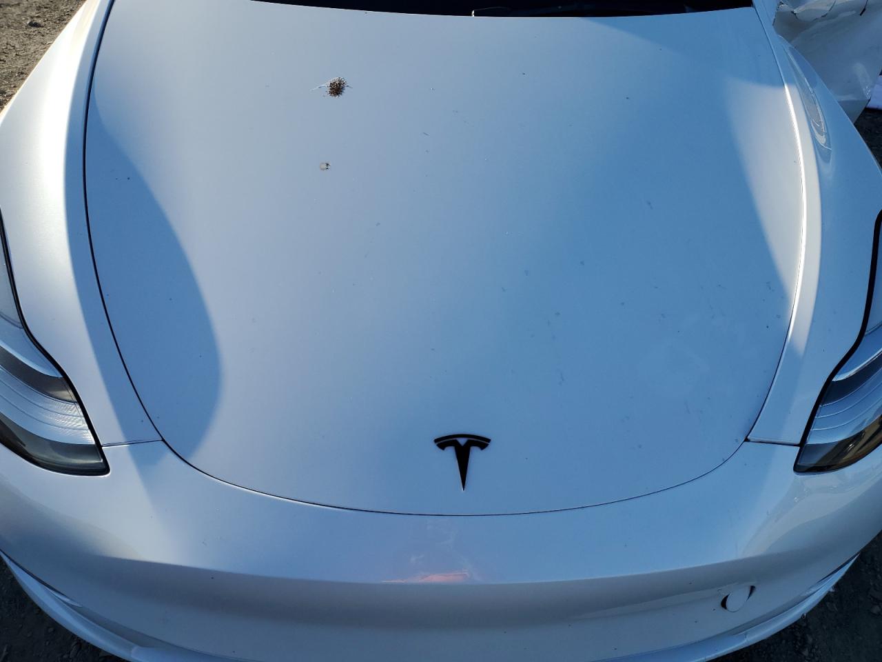 VIN 7SAYGDEE4PF612341 2023 TESLA MODEL Y no.11