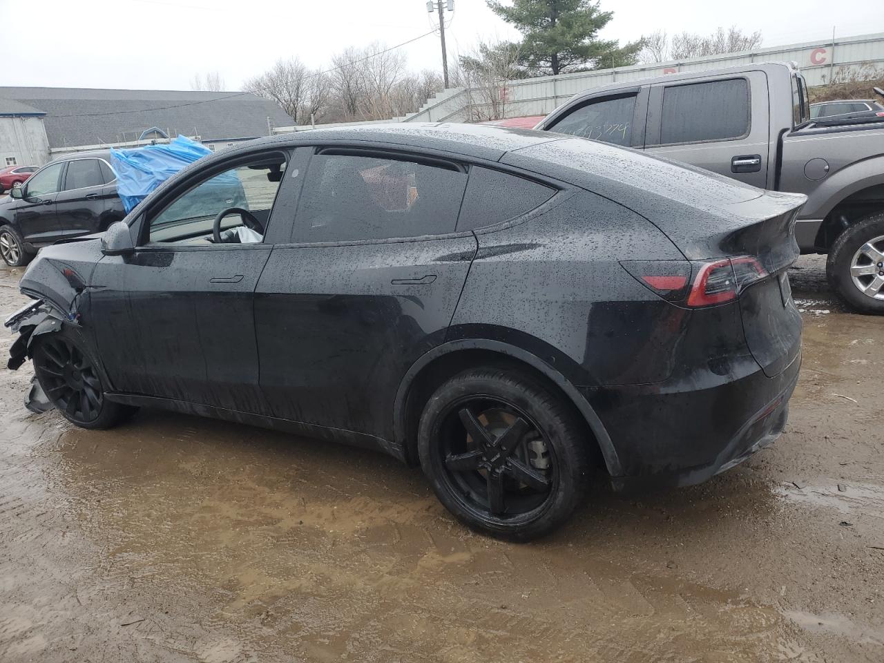 2023 Tesla Model Y VIN: 7SAYGDEE8PA189650 Lot: 85205674