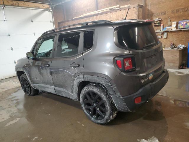  JEEP RENEGADE 2017 Сірий