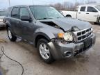 2011 Ford Escape Xls na sprzedaż w Pekin, IL - Front End