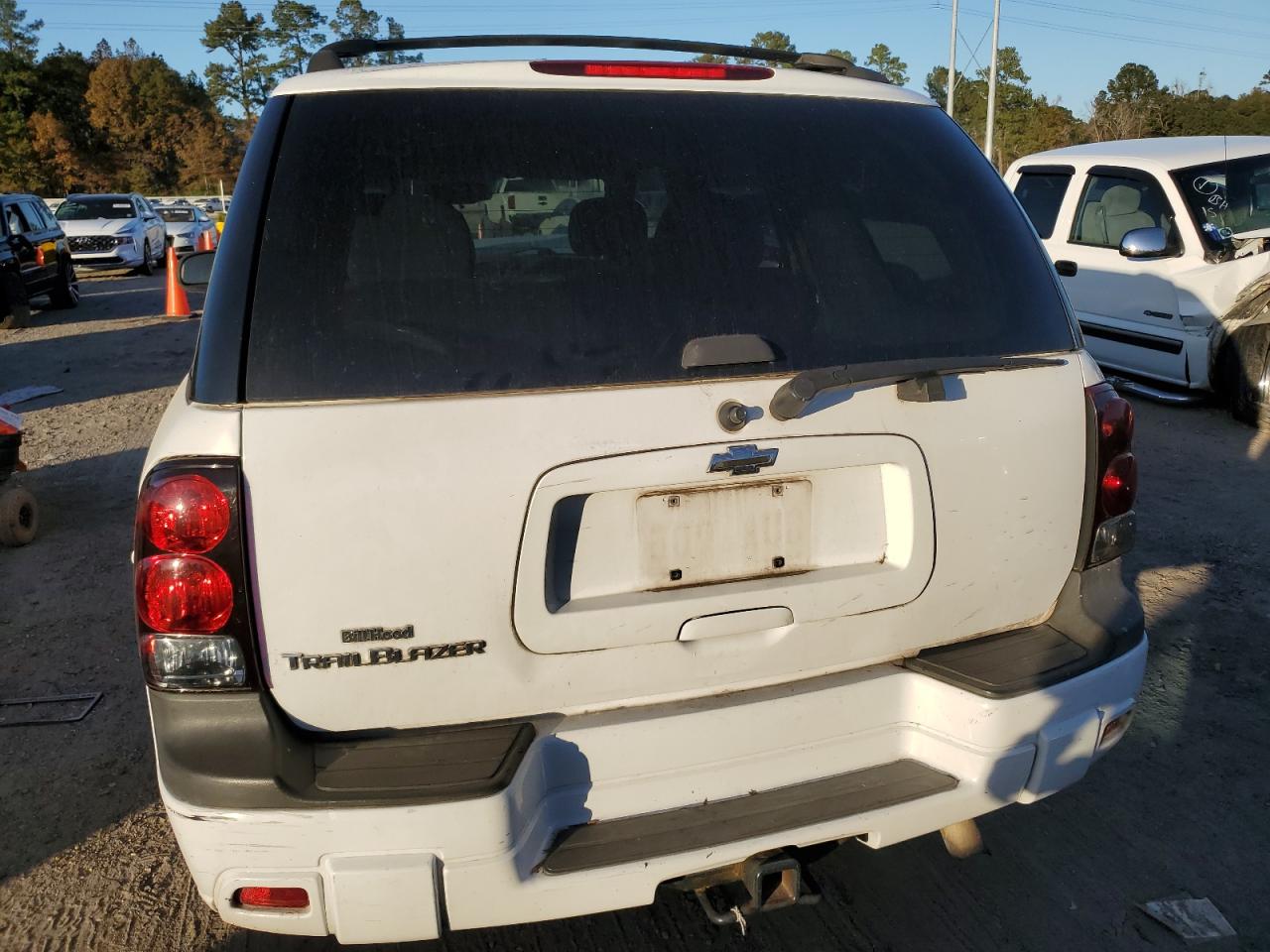 2008 Chevrolet Trailblazer Ls VIN: 1GNDS13S382208900 Lot: 85439984