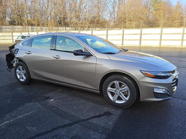  CHEVROLET MALIBU 2024 Beige