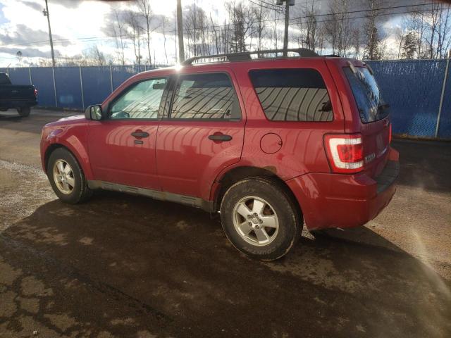 2011 FORD ESCAPE XLT