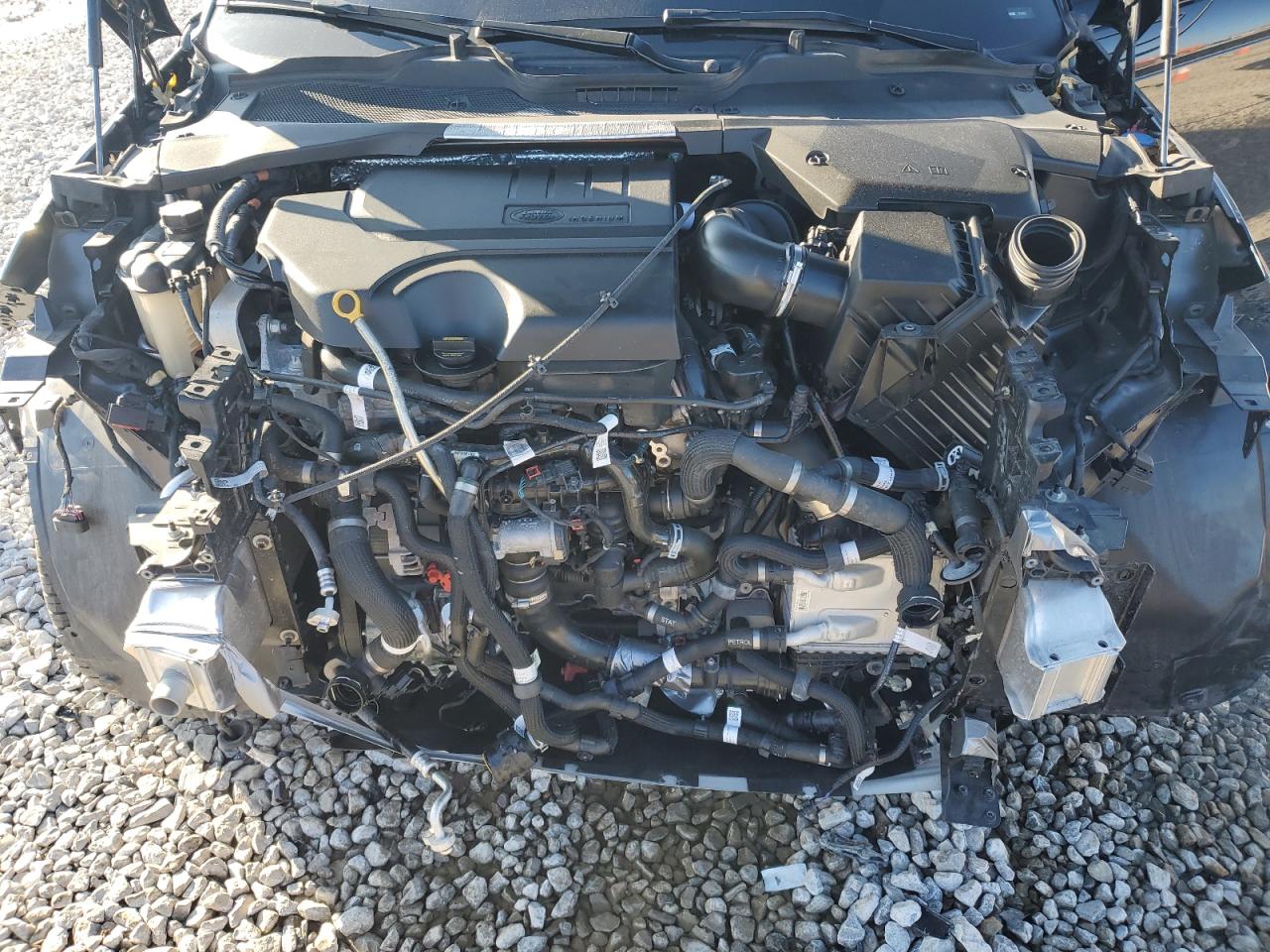 2022 Land Rover Range Rover Evoque R-Dynamic S VIN: SALZT2FX8NH170199 Lot: 86910464