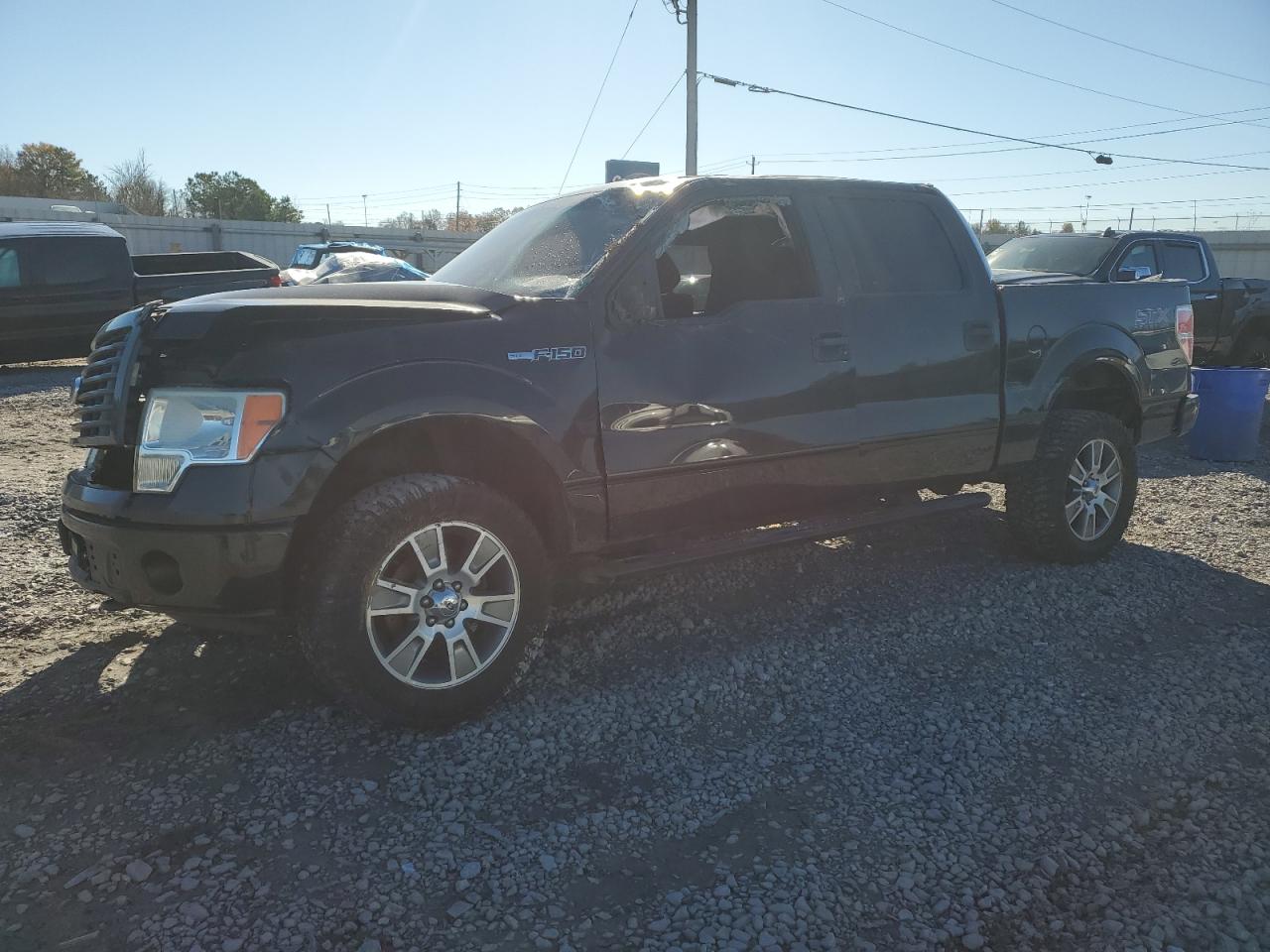 2014 Ford F-150 - Image 1