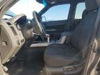 2009 Ford Escape Xlt en Venta en Sikeston, MO - Front End