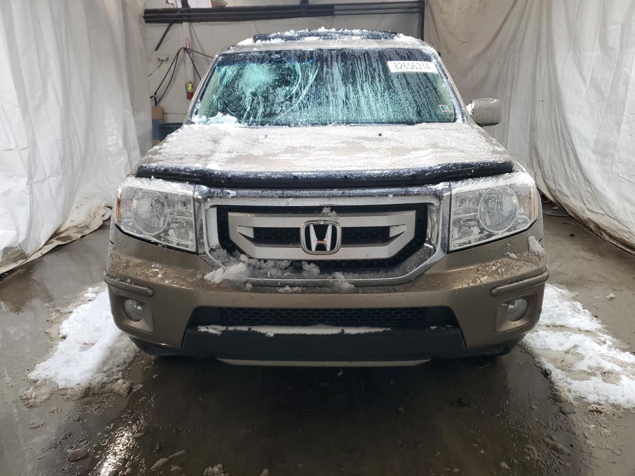 2010 Honda Pilot - Image 5
