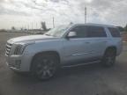 2016 Cadillac Escalade Luxury на продаже в Miami, FL - Normal Wear