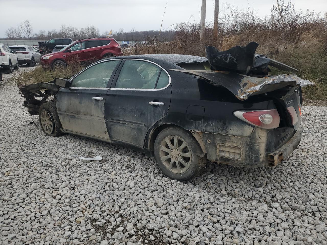 2004 Lexus ES - Image 2