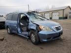 2010 Honda Odyssey Exl for Sale in Pekin, IL - Front End