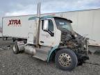 Reno, NV에서 판매 중인 2017 Peterbilt 579  - Front End